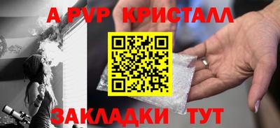 молекула духа Кингисепп