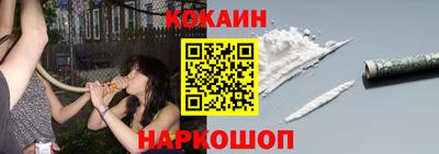молекула духа Кингисепп