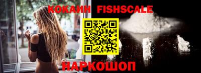 молекула духа Кингисепп