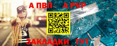 молекула духа Кингисепп