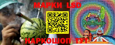 молекула духа Кингисепп