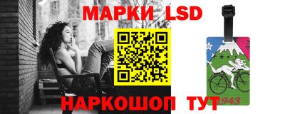 молекула духа Кингисепп