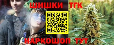 молекула духа Кингисепп
