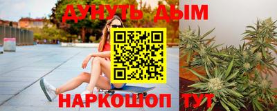 молекула духа Кингисепп