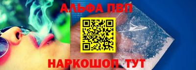 молекула духа Кингисепп