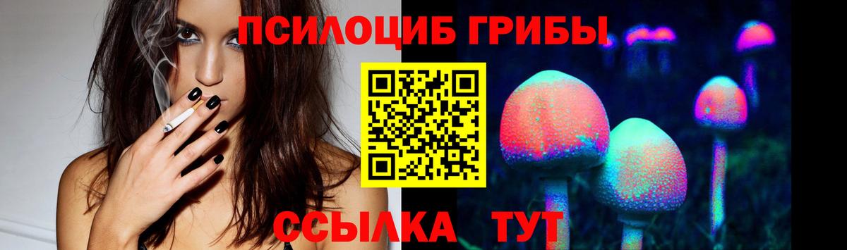 Галлюциногенные грибы Psilocybine cubensis  Вход с VPN  Клинцы 